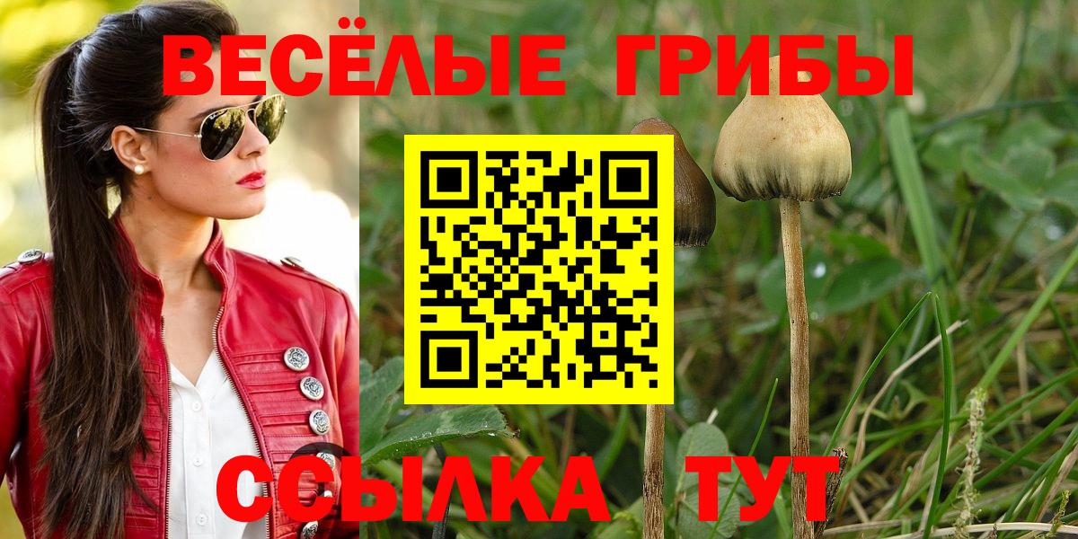 Бузулук  Галлюциногенные грибы MAGIC MUSHROOMS  Галлюциногенные грибы Cubensis  Вход с VPN 