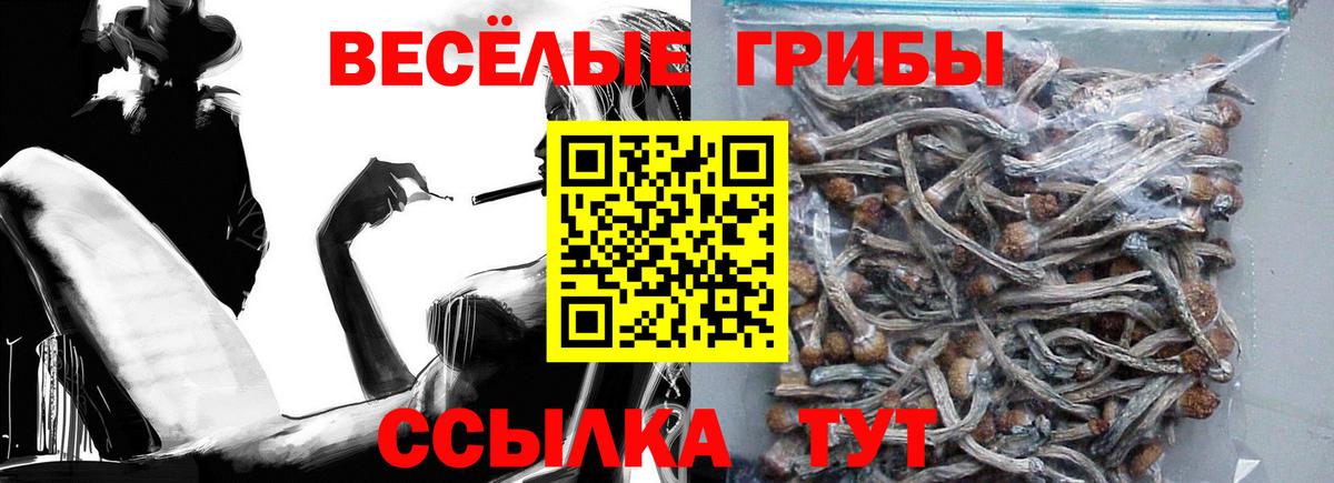 Галлюциногенные грибы Magic Shrooms Бузулук