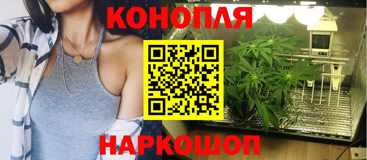 Бошки марихуана семена Бузулук